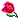 rose rose